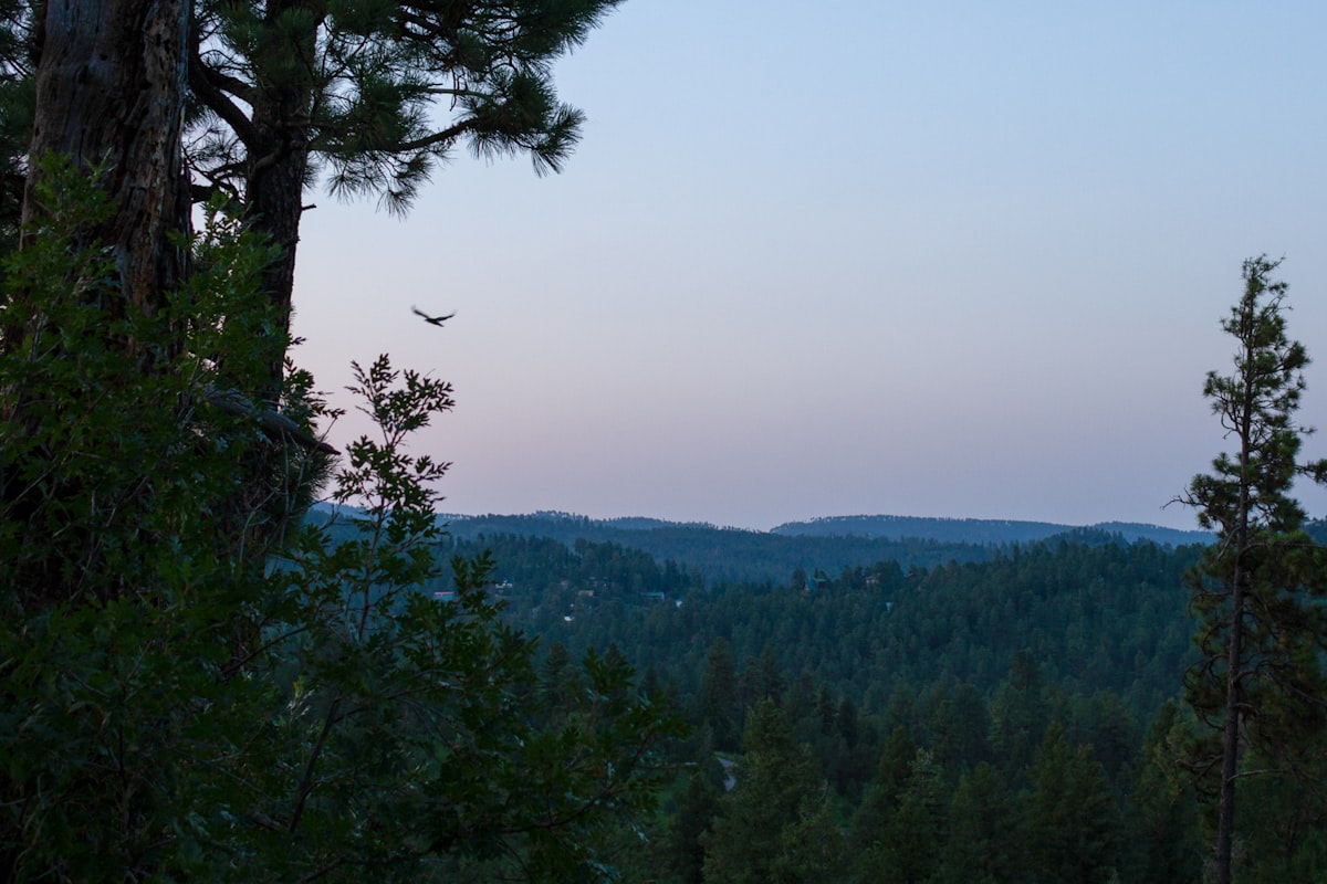 Ruidoso
